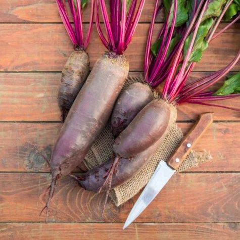 Buraczki ćwikłowe jako pasza dla zwierząt