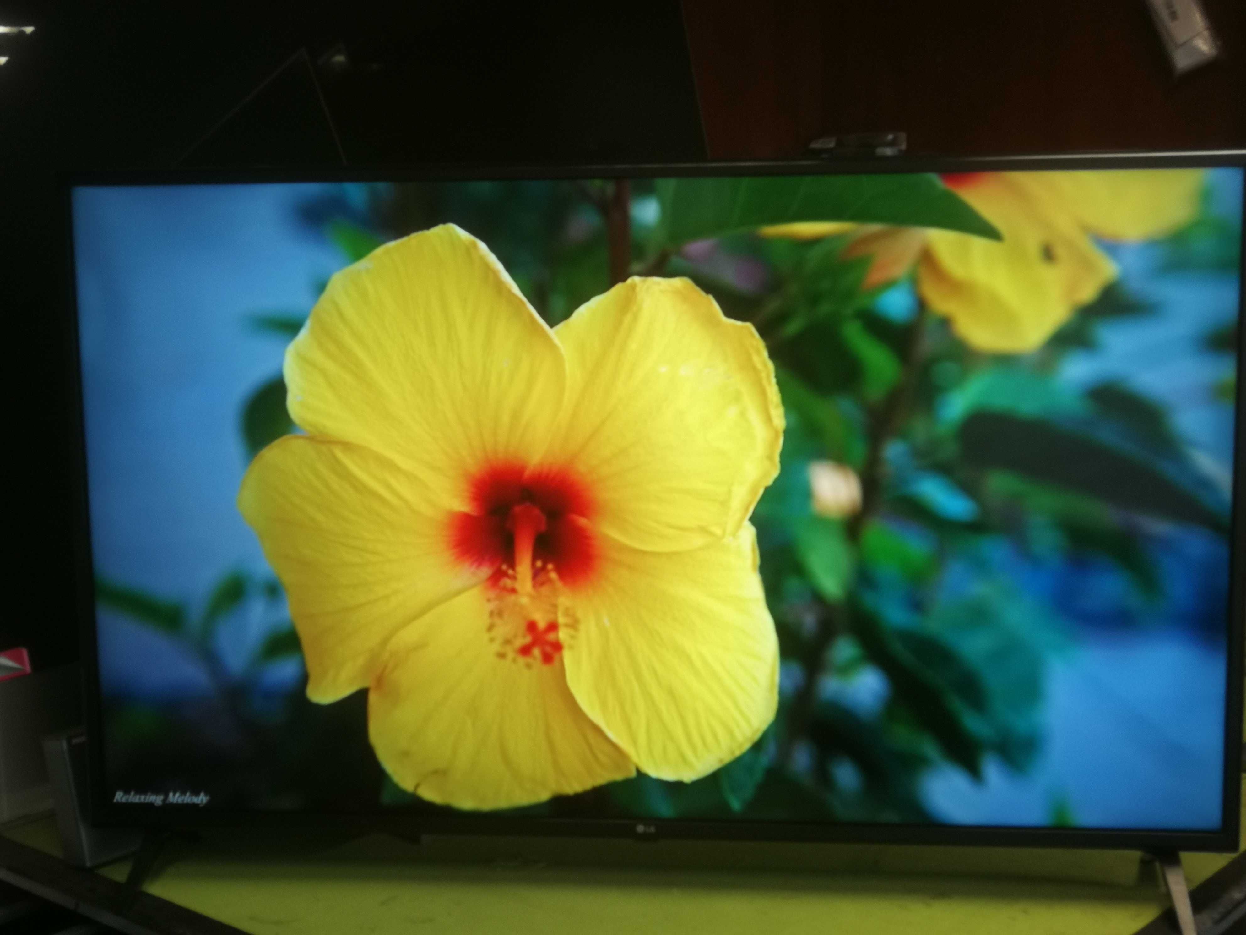 Telewizor LG 55 cali 4K UHD, Smart wifi IDEAŁ