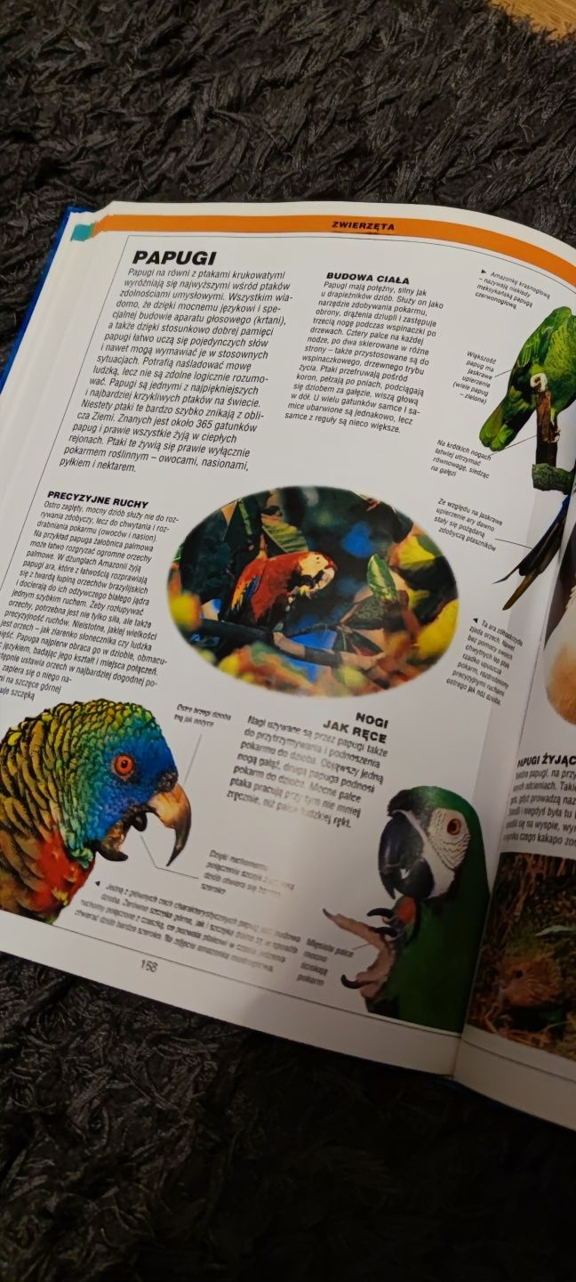 Encyklopedia dla dzieci Przyroda ilustrowana prezent