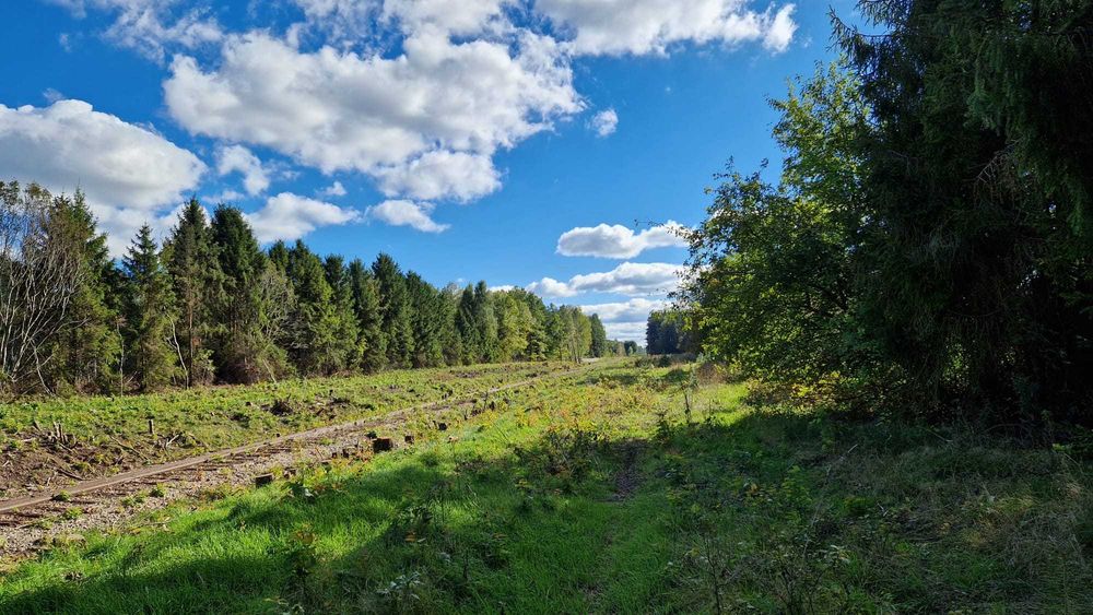 KASZUBY Działka budowlana 23/26 Kamienica Królewska ,GMINA Sierakowice