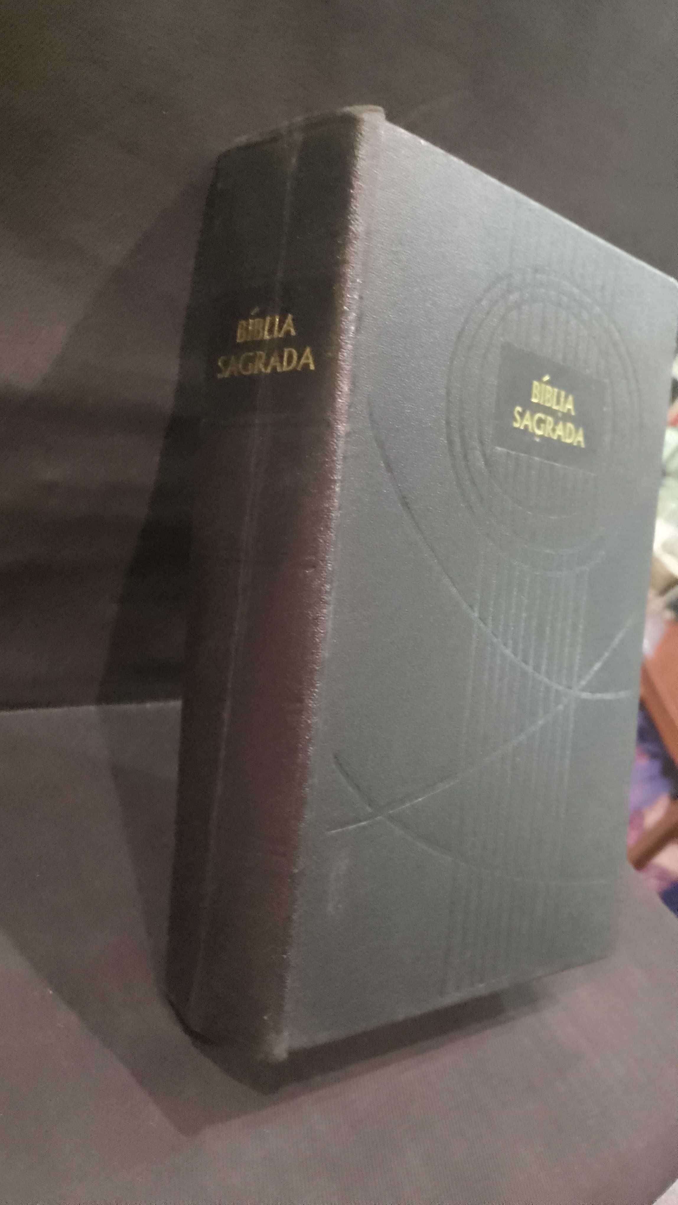 Bíblia Sagrada Velho e novo Testamento