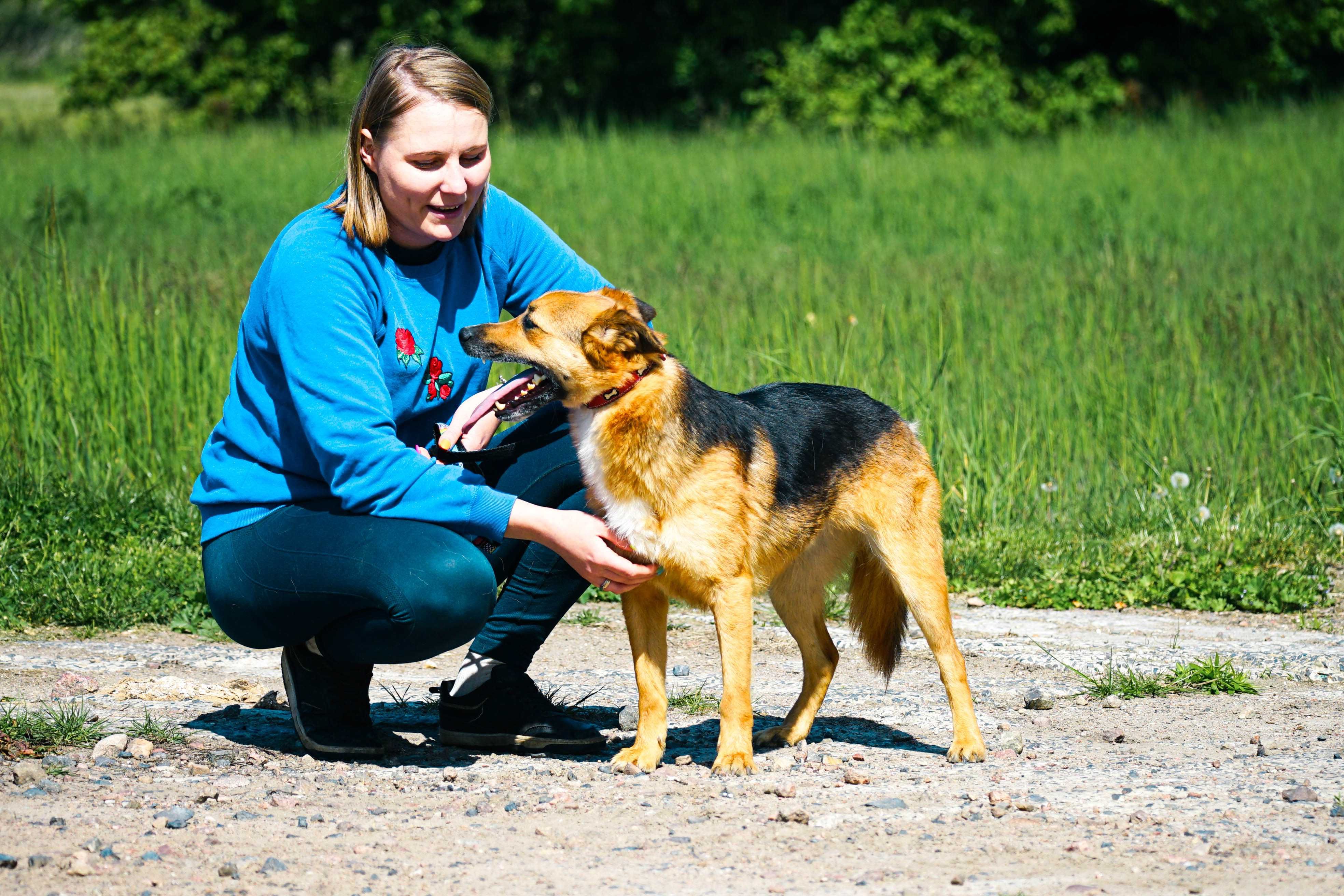 MIŁEK - świetny pies do adopcji