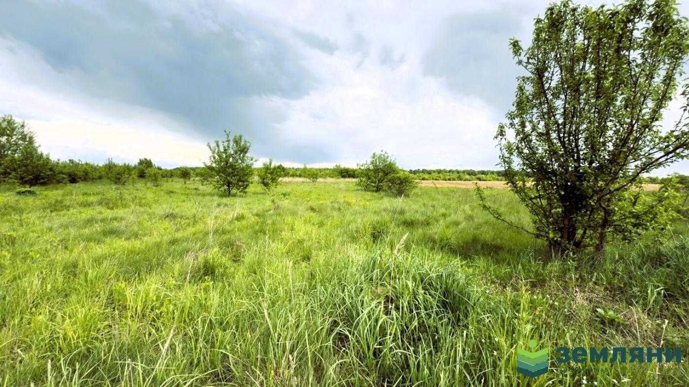 Продається ділянка 20 сот в с. Березівка