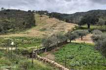 Terrenos Rusticos