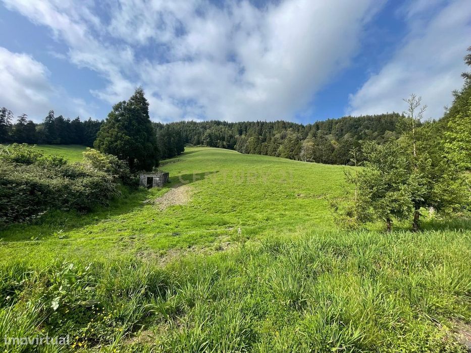Terreno Agrícola com Vista Panorâmica em Povoação, São Miguel