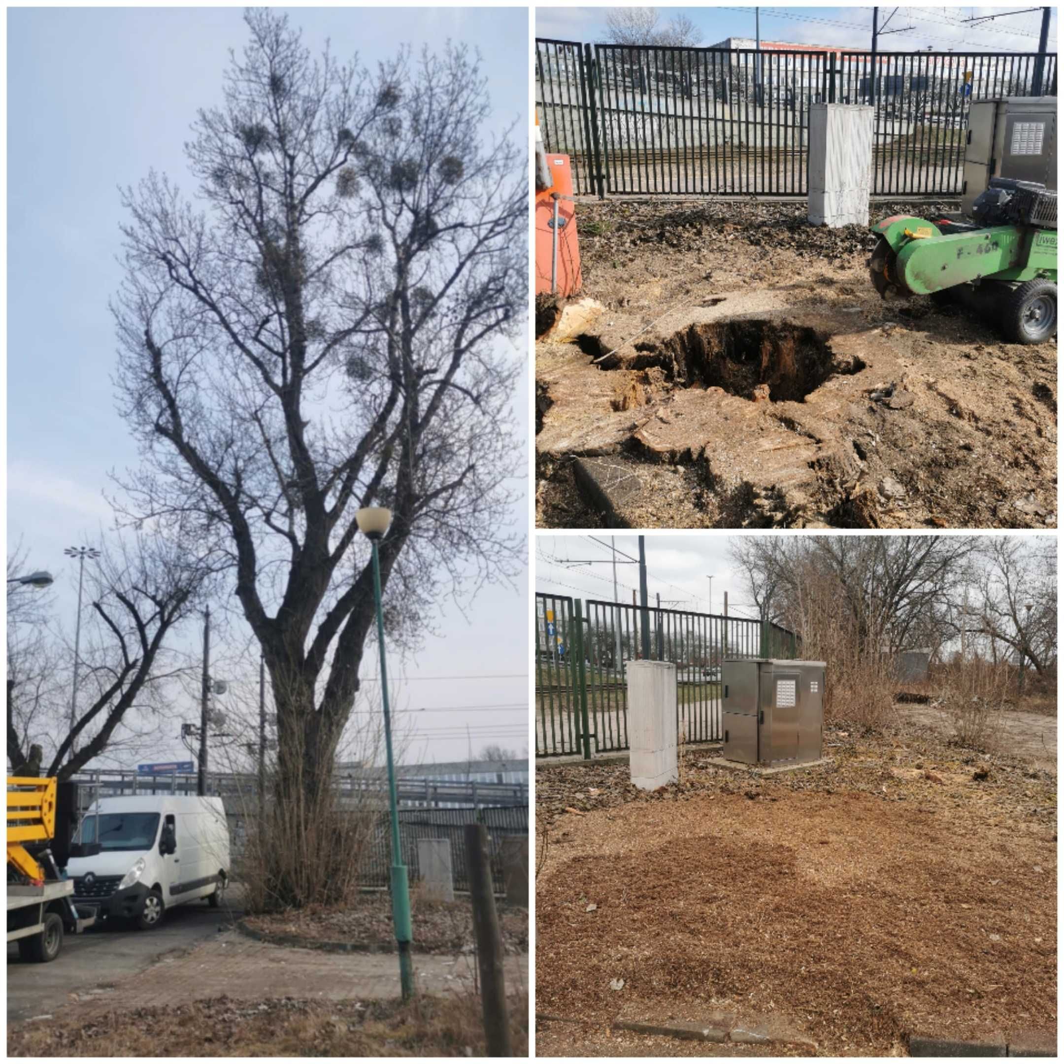 Kompleksowa wycinka drzew | Frezowanie karp, pni, korzeni