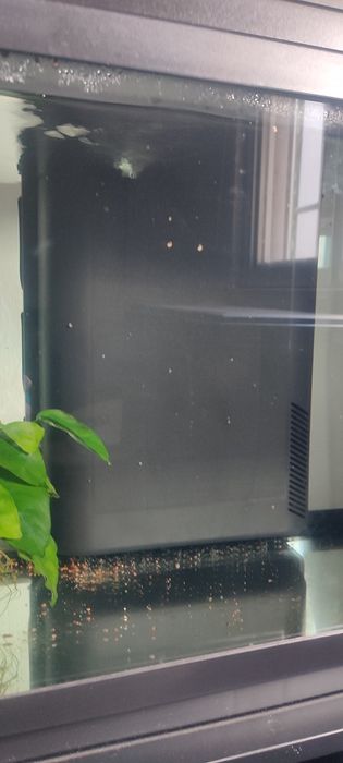 Aquário 80 L aquatlantis e móvel