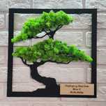 Żywy obraz- drzewko Bonsai- indywidualny grawer