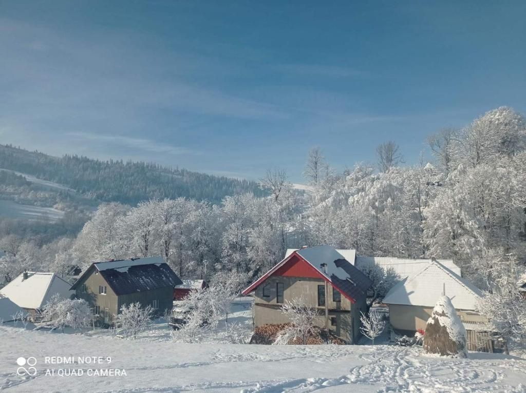 Відпочинок в Карпатах