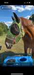 Maska na owady od pony do xfull