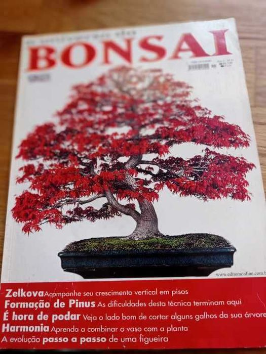 4 revista Bonsai rara