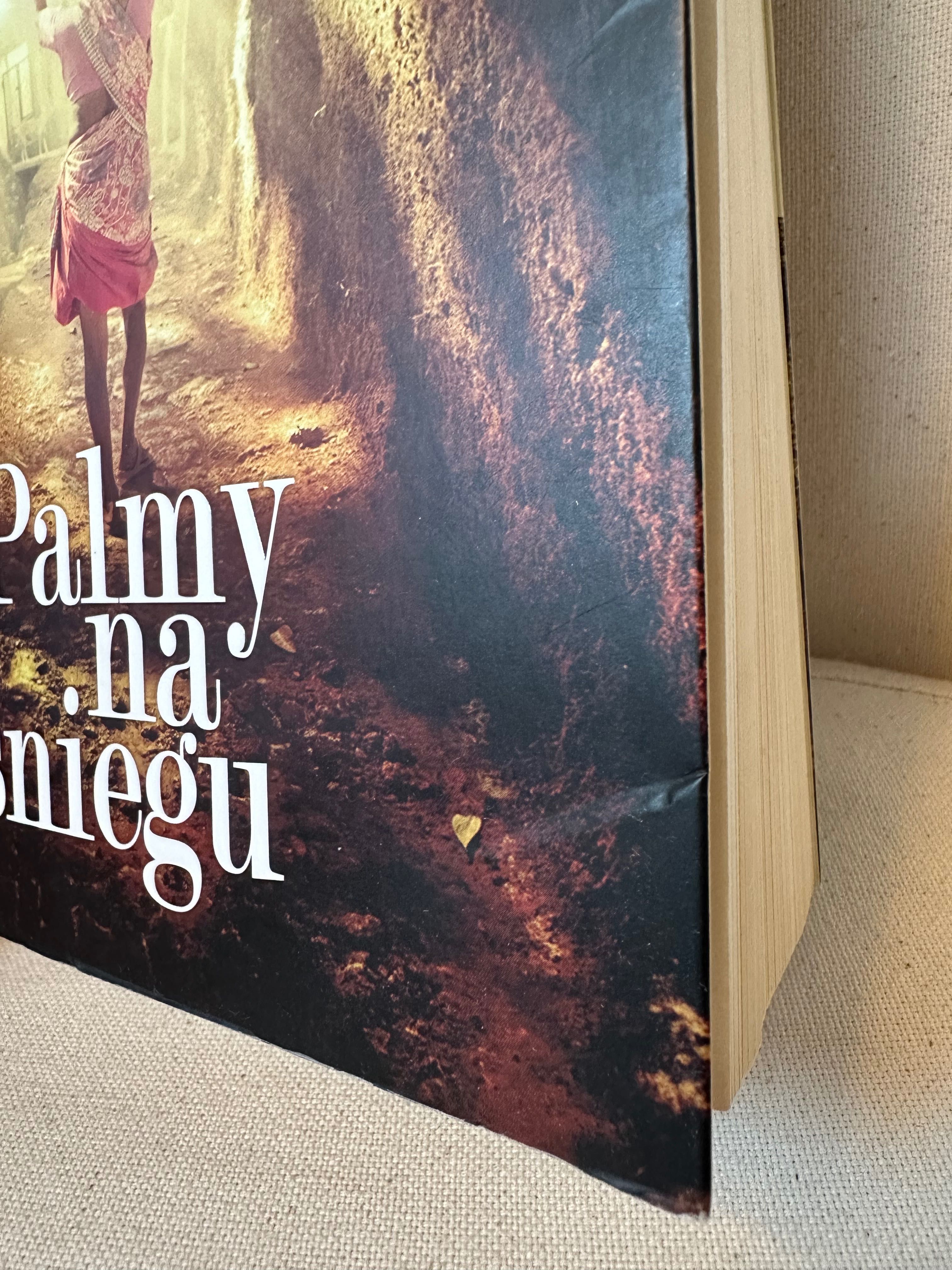 Palmy na śniegu Luz Gabas książka papierowa