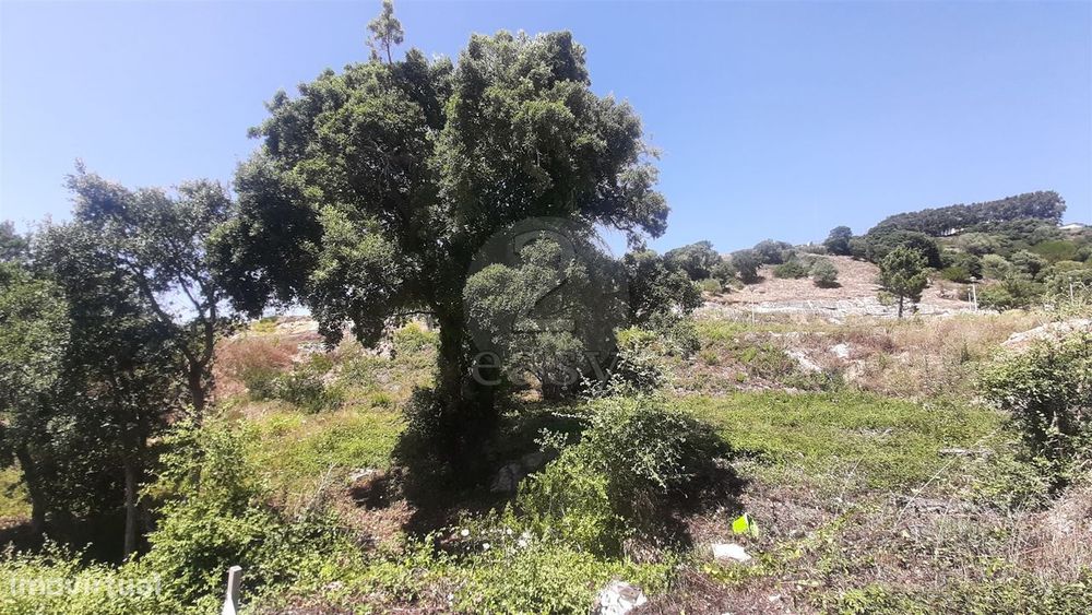 Lote de Terreno na Venda  do Pinheiro