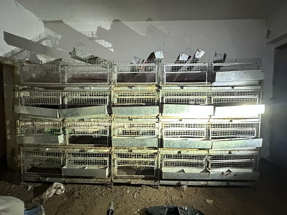 Клітки бройлер, кролики батарея клетки 20 шт