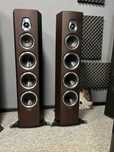 Sonus Faber SONETTO VIII wenge ! OUTLET ! OKAZJA !