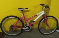 Bicicleta Team Pro 4210