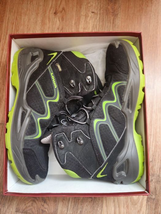 Ботинки  Lowa GTX