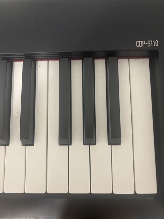 Teclado Casio CDP-S110