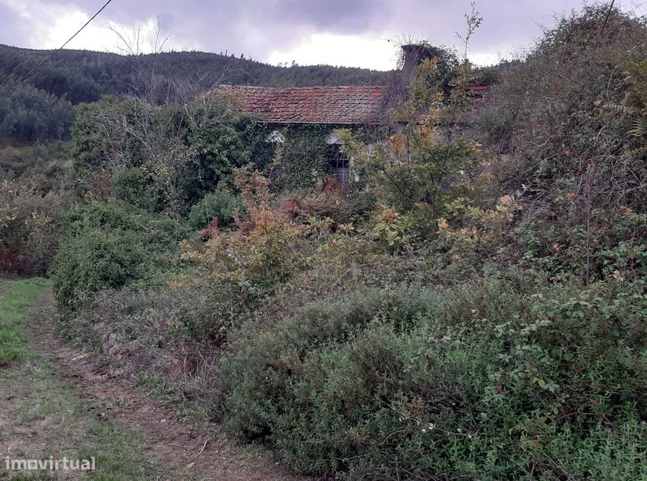 Vende Quinta em Paraíso Castelo Paiva