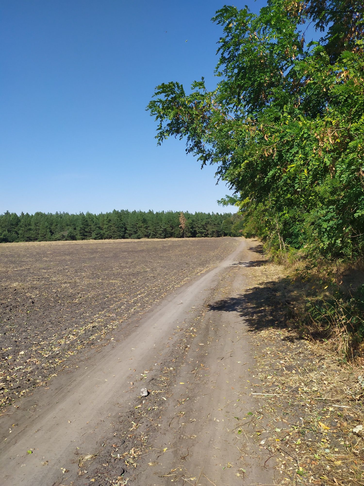 Продам жилье, печное отопления,скважина, земля, рядом лес,речка,траса.