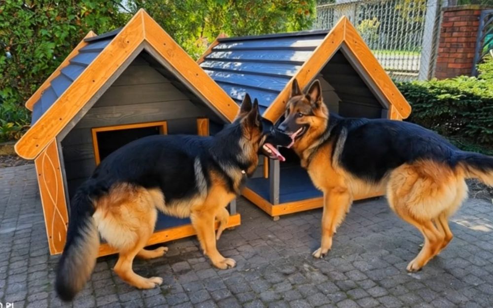 Buda dla psa z tarasem i oknem 180kg wysyłka cała PL