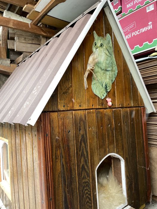 Котячий будиночок
