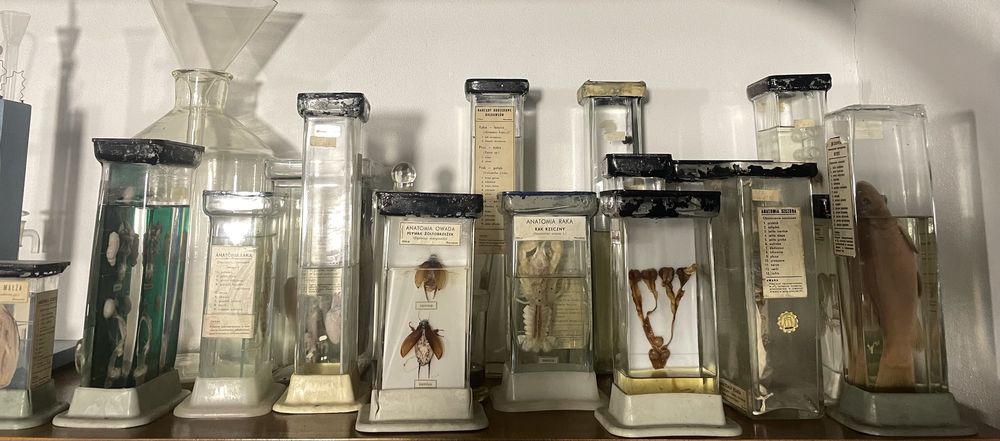 Stare preparaty biologiczne