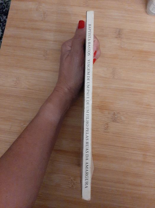 Livro " Viagem de um pai e de um filho pelas ruas da amargura "