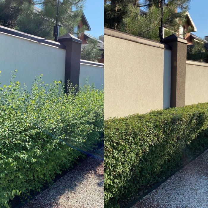 Посадка/Пересадка растений,Услги садовника,Подготовка участков к зиме