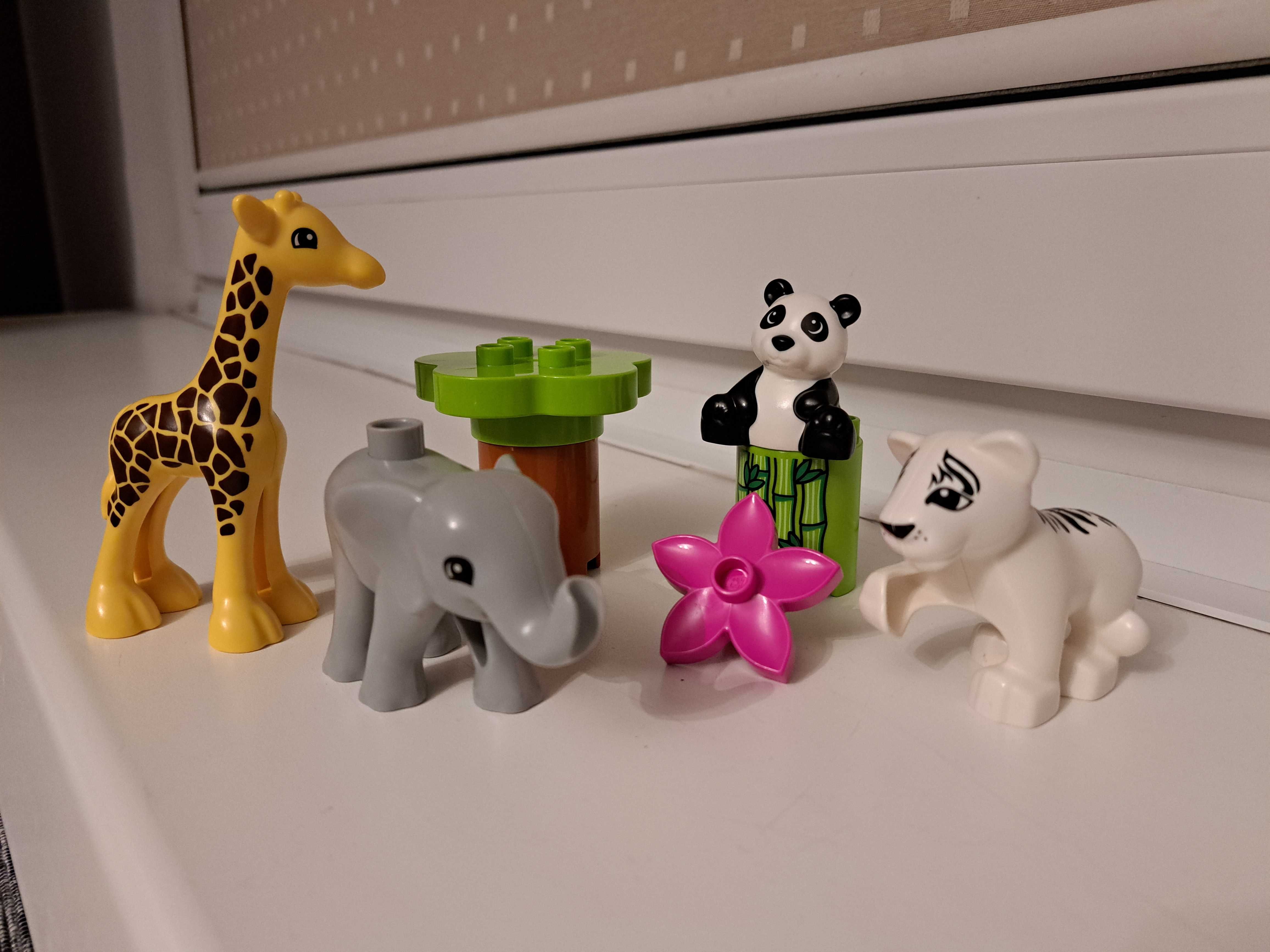 LEGO Duplo 10904 Małe Zwierzątka