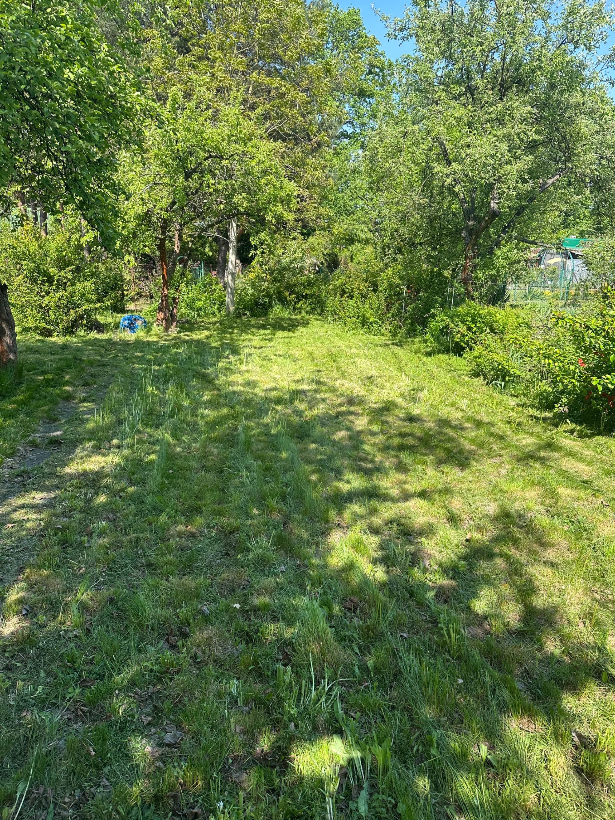 Na sprzedaż działka ROD „Witaminka” – Zaborze k. Oświęcimia – 300 m²