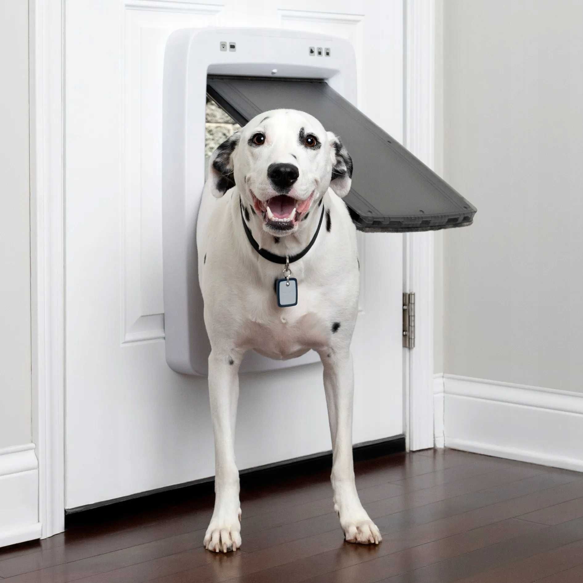 PetSafe Connected drzwiczki dla psa i kota z chipem, Wi-Fi aplikacja L