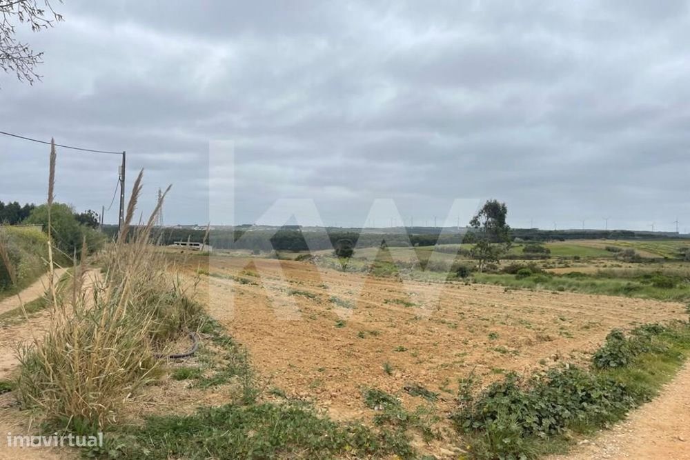 Terreno Agrícola em Peniche com mais de 5ha - Atouguia da Baleia