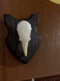 Медальон трофей на стену птица череп птицы