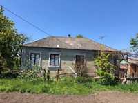 Продам дім в Любашівці
