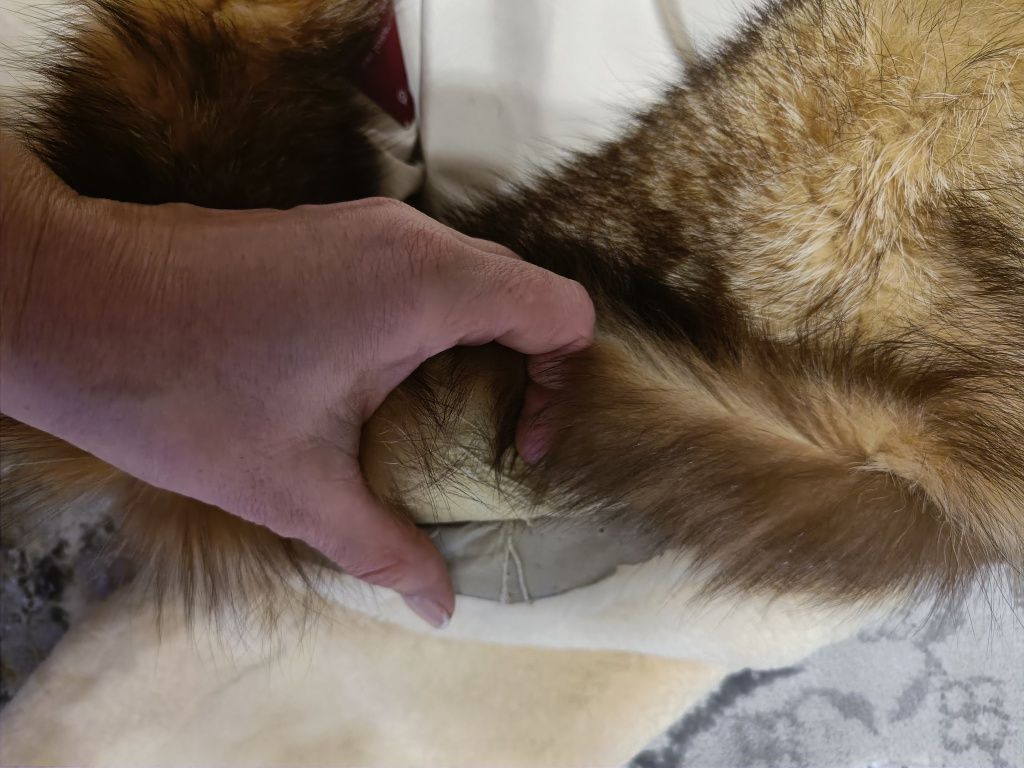 Шуба норковая kopenhagen fur