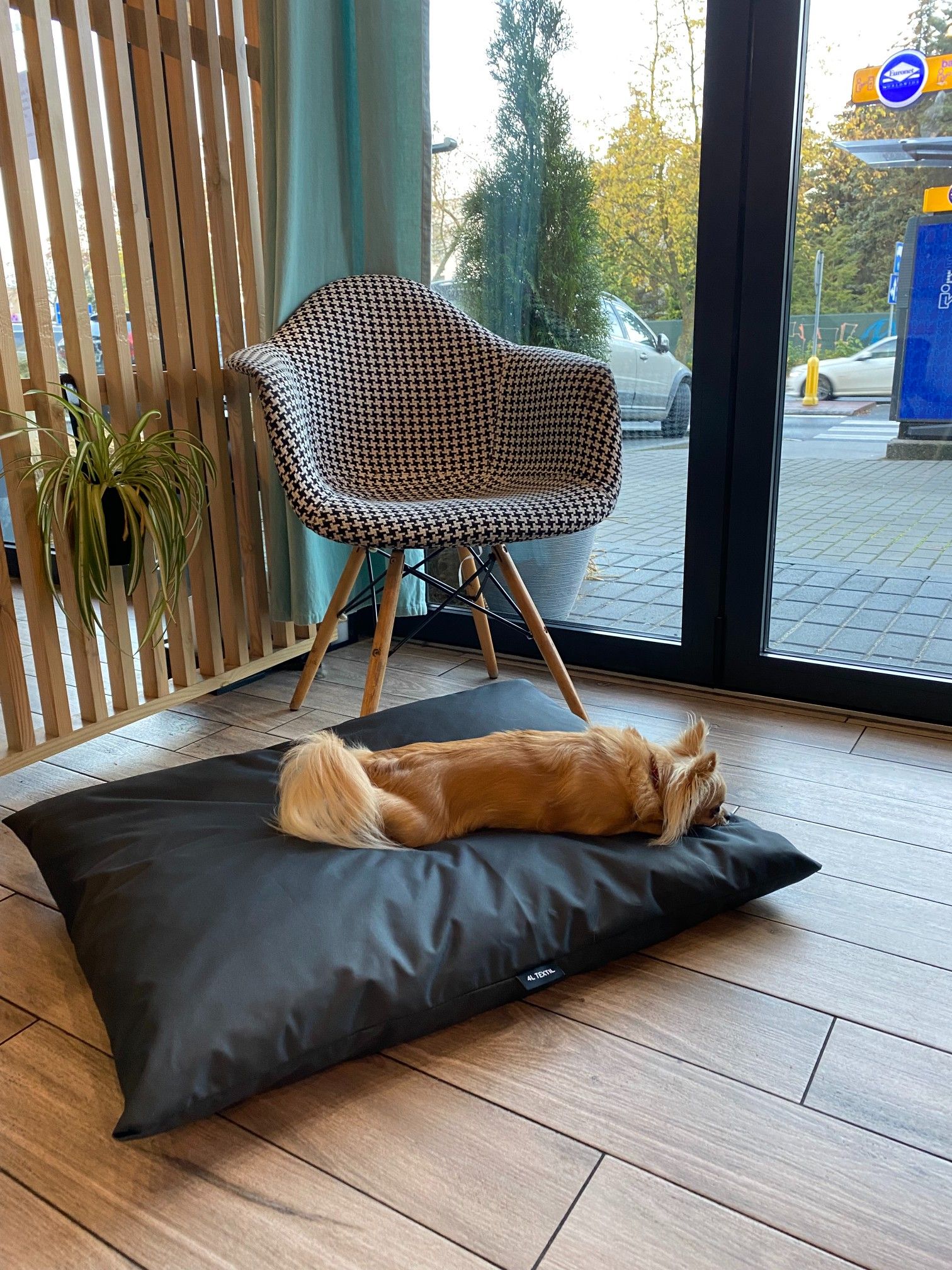 Wodoodporne legowisko poduszka dla psa ZOE (120x100 cm, Czarny)