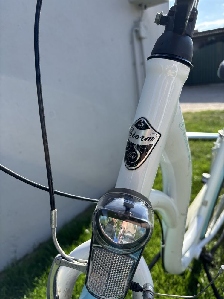 Rower Storm Damski