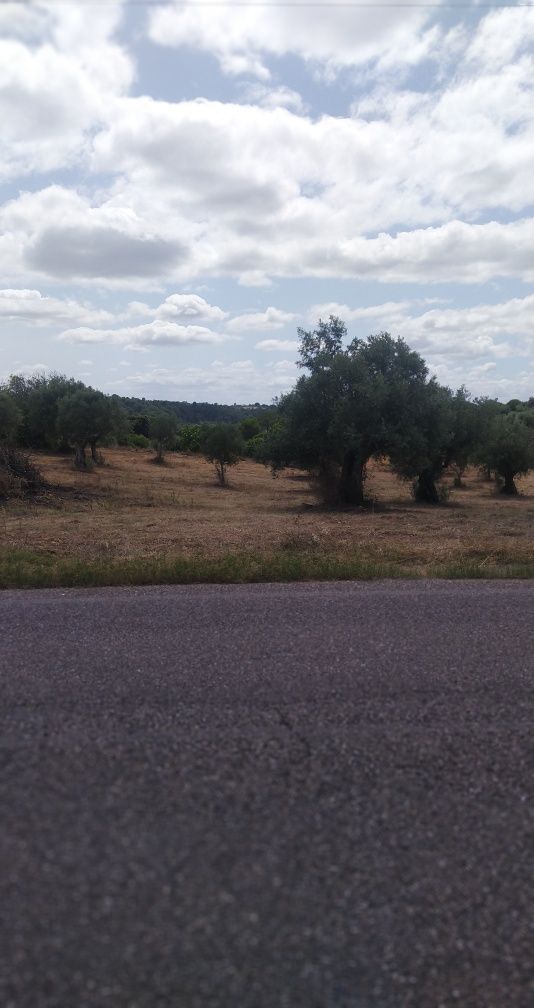 Lote de terreno para construção