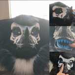 Dino mask raptor