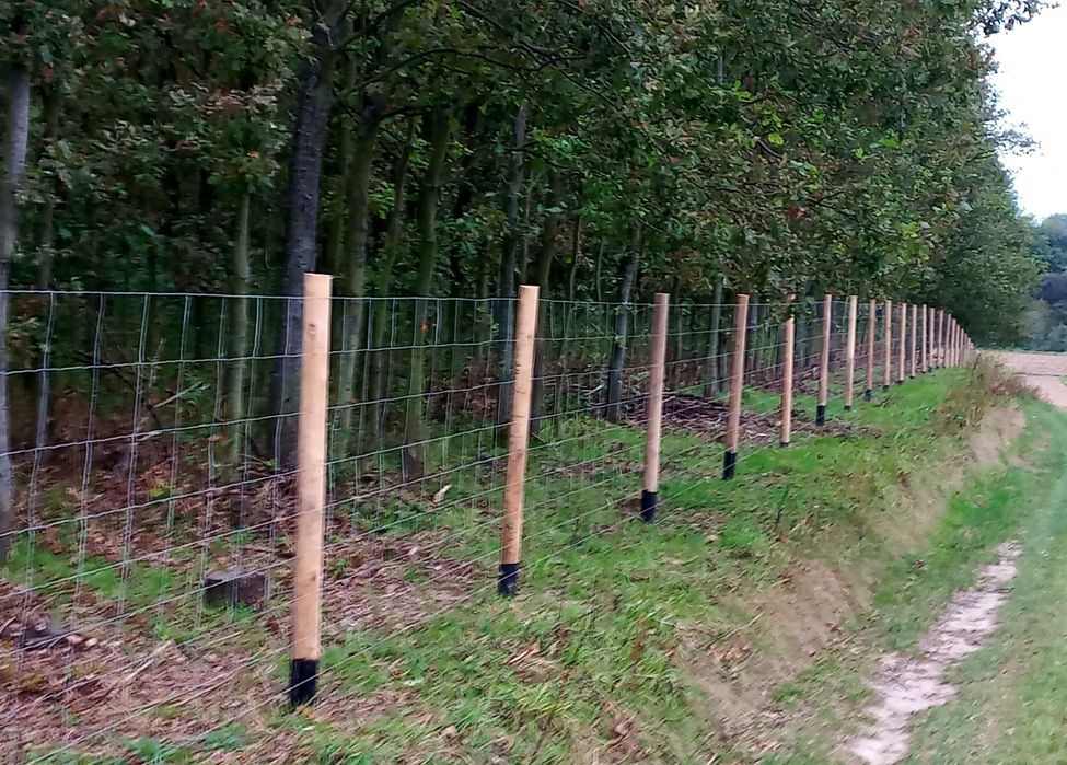 Ogrodzenia z siatki leśnej tymczasowe budowlane budowy działki ROD