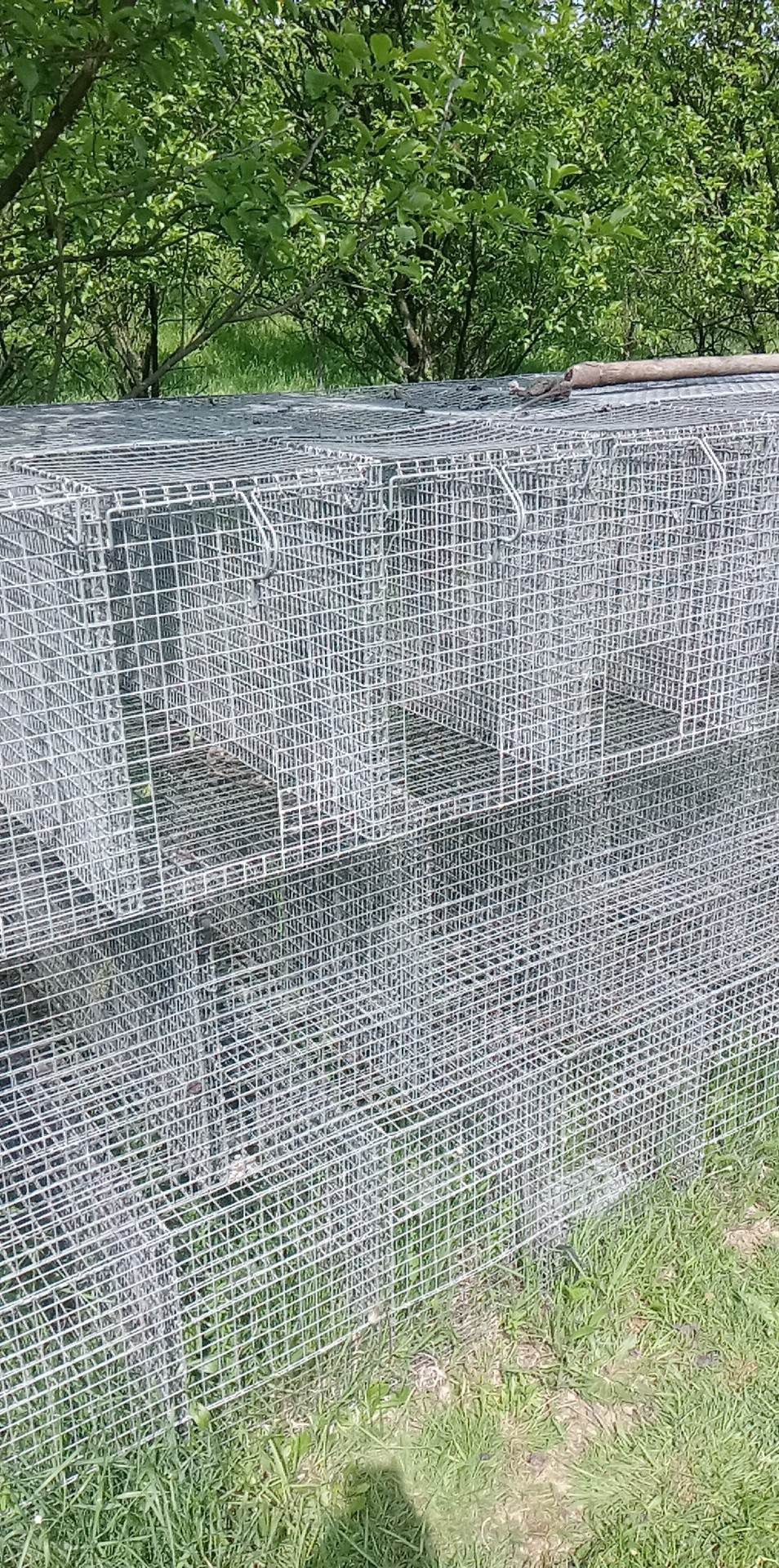 klatki dla królików 8 komorowe