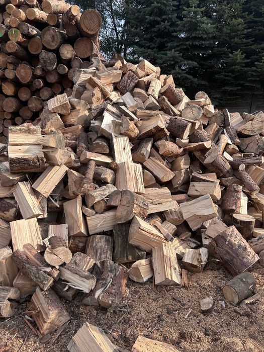 Drewno opalowe komikowe