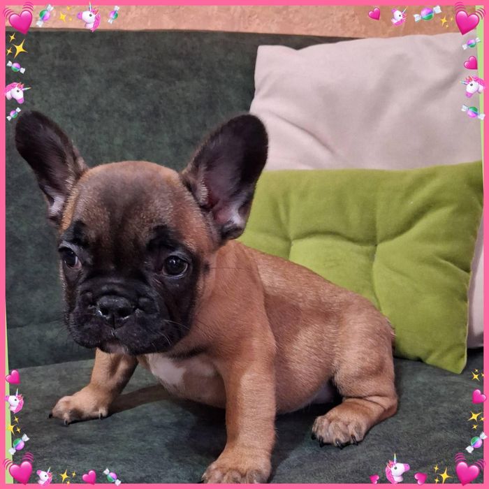 Прекрасні малята