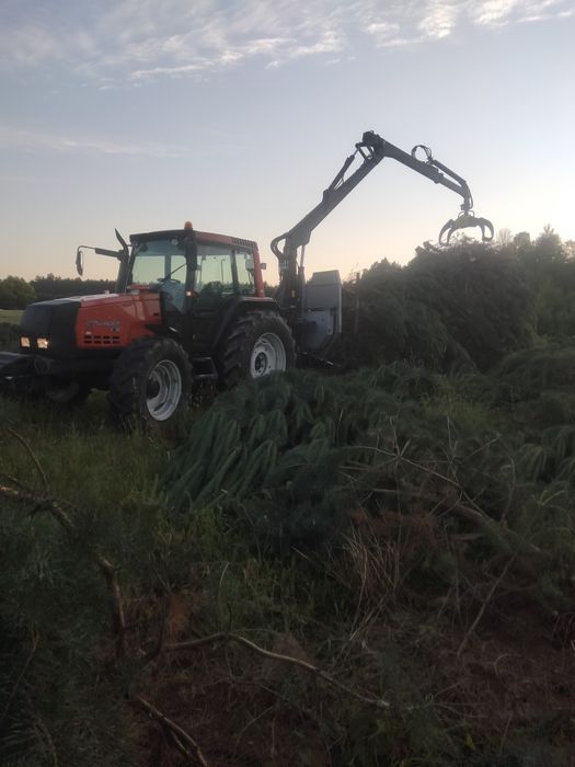 Usługi leśne ścinka drzew czyszczenie działek kupno lasu na pniu