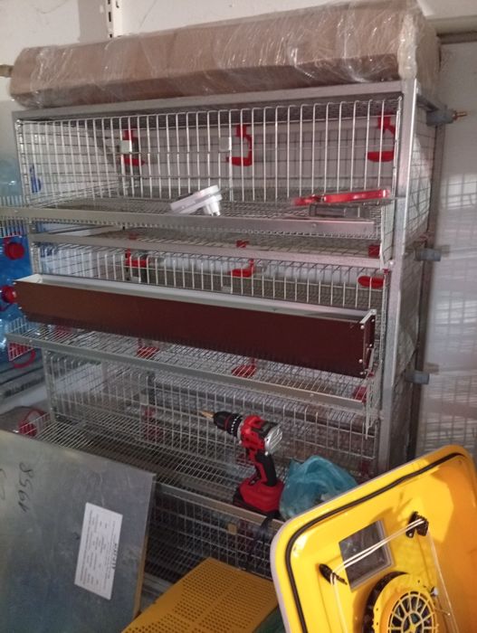 Клітка для перепілок несушок