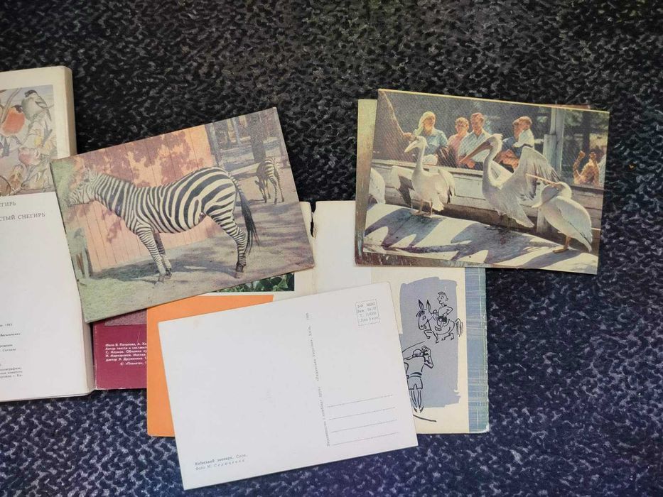 Наборы открыток Птицы, Кошки, Київський зоопарк 3 набора Одним лотом