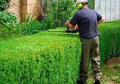 Paisagismo Sustentável em todas as regiões Margem Sul