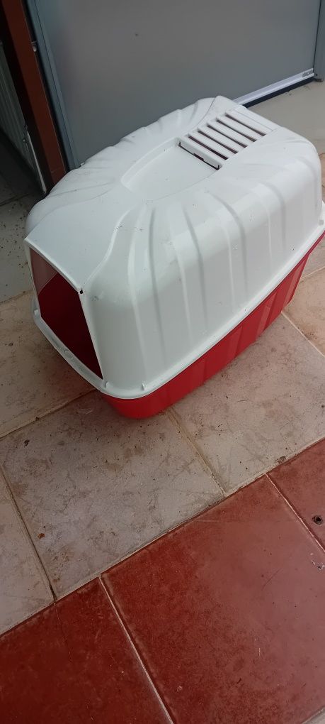 Caixas areia dos gatos