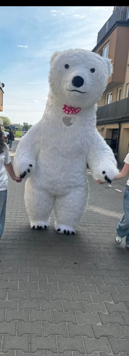 Bialy Miś i Panda wynajem  na urodziny komunie chrzciny zabawy festyn